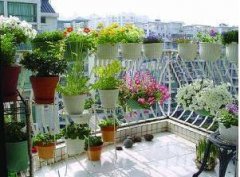 乐山清洁：有植物的阳台干净美丽